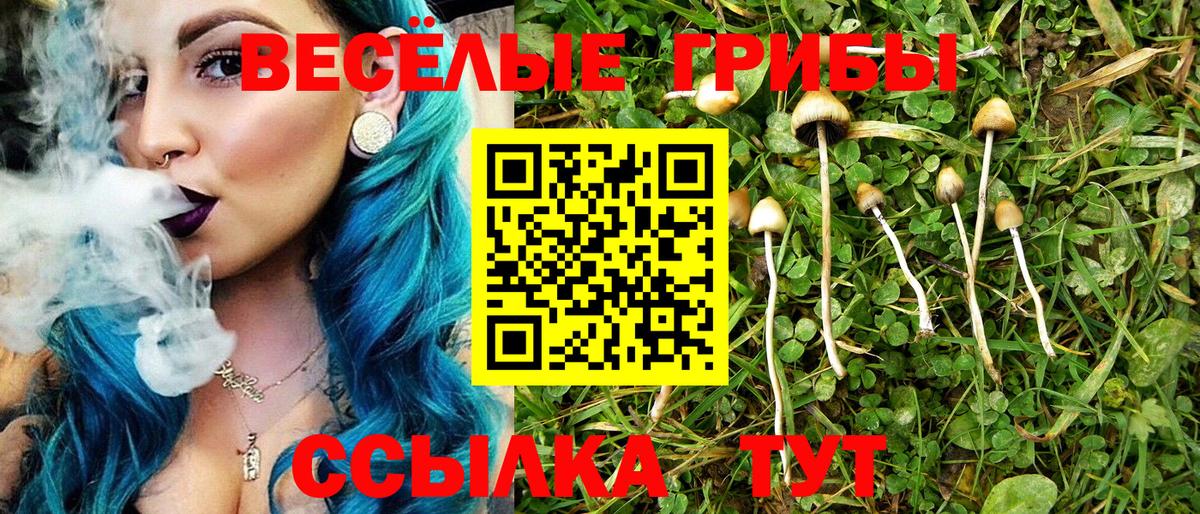 Галлюциногенные грибы Cubensis Аксай