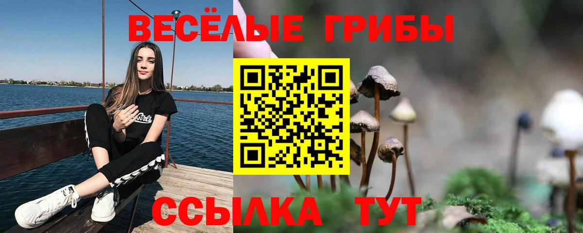 Галлюциногенные грибы Psilocybine cubensis  Вход с VPN  Аксай 