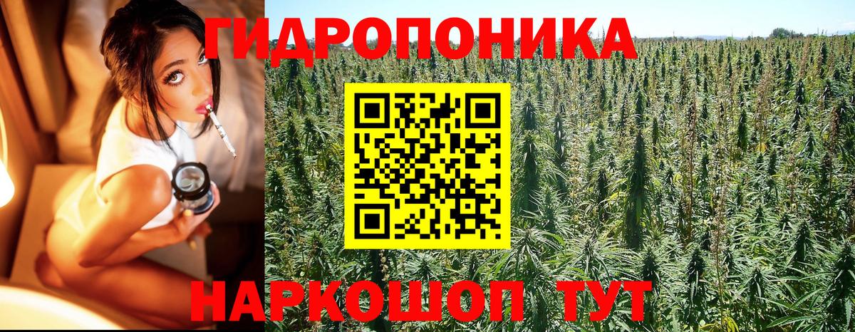 Бошки Шишки план  Каннабис конопля  Вход с VPN  Шишки марихуана THC 21%  Аксай 